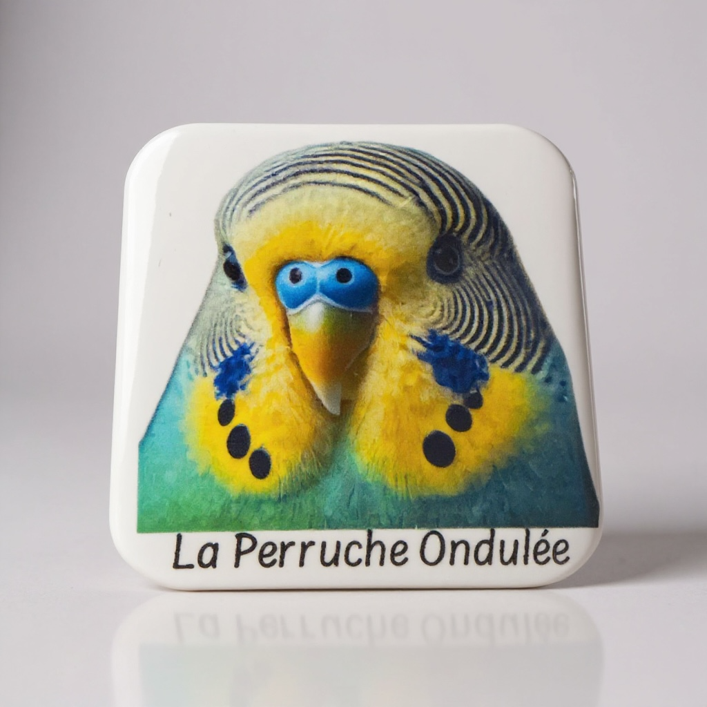 Catalogue Oiseaux
