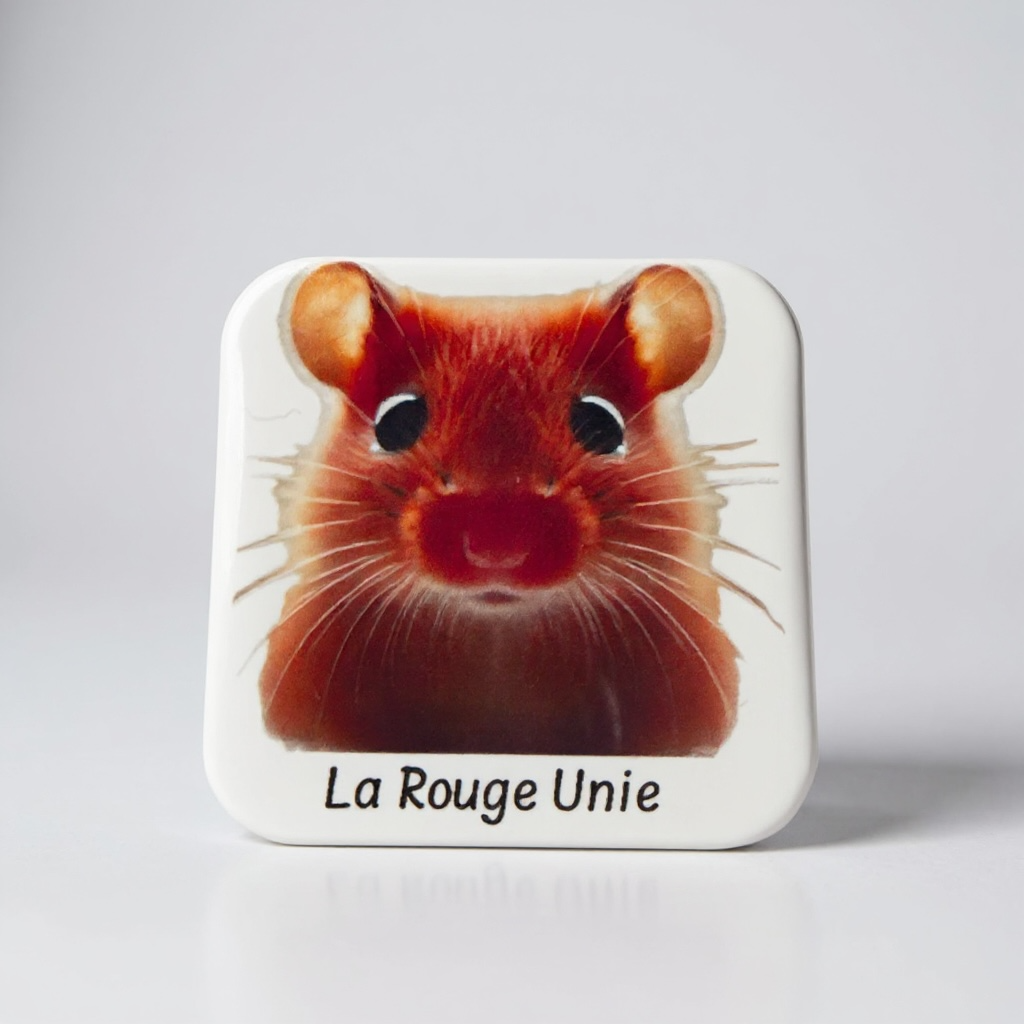 Catalogue Rongeurs