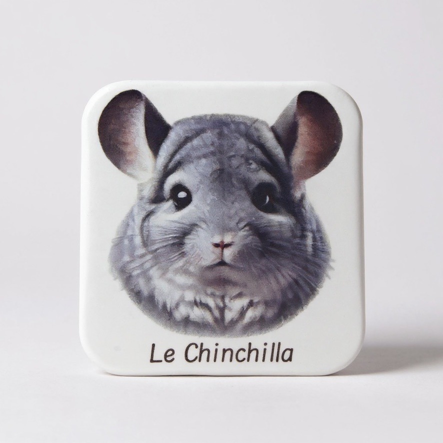 Magnet lapin — recto